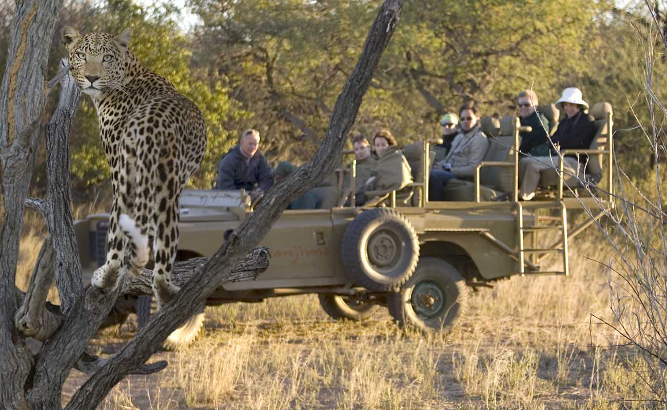 Safari Trip to Africa