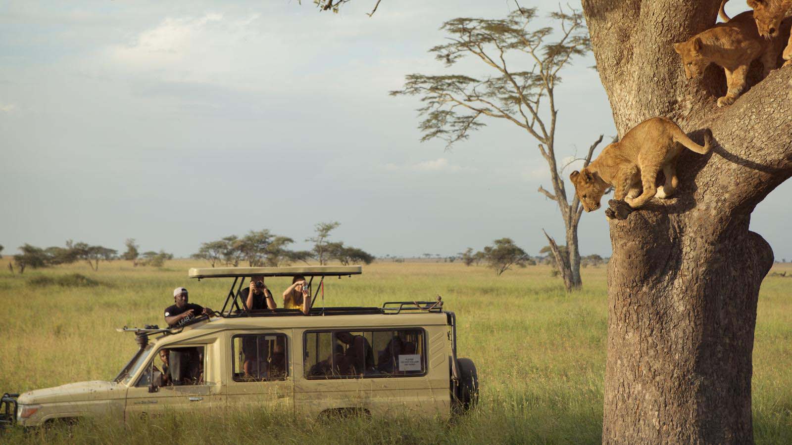 Tanzania holiday tours and safaris,