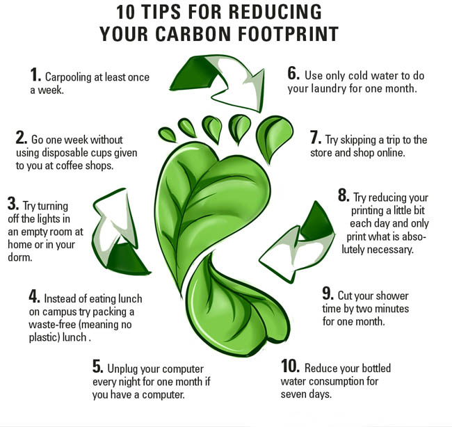 How to Reduce Your Carbon Footprint