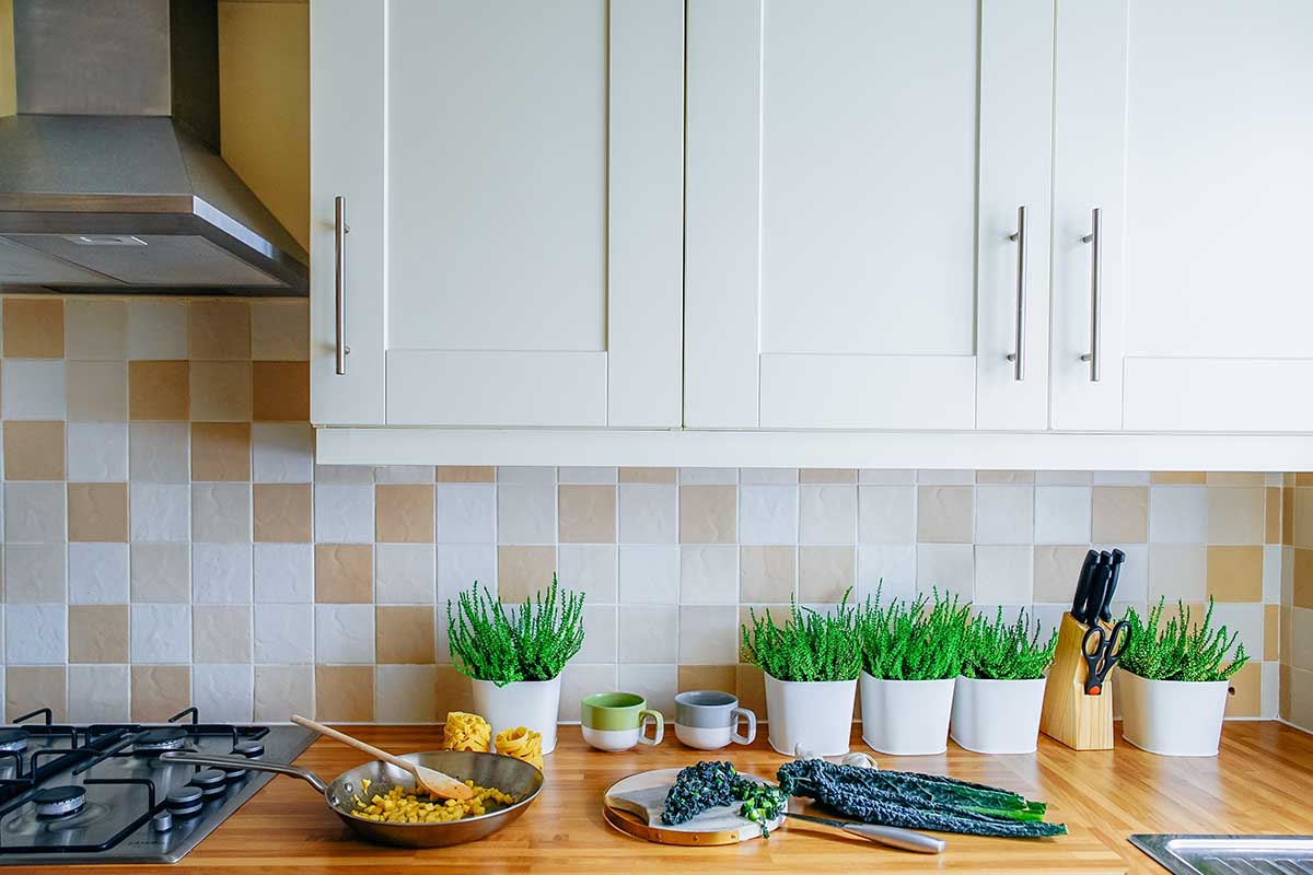 Kitchen With Herb And Plant