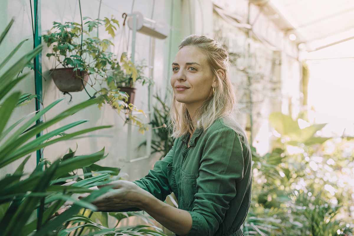 Innovative Gardening Solutions
