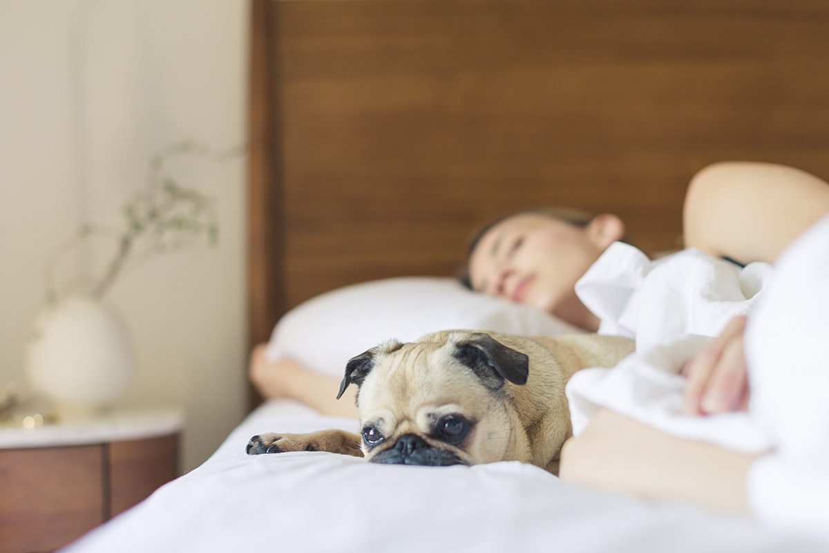 Poor sleep lifestyle