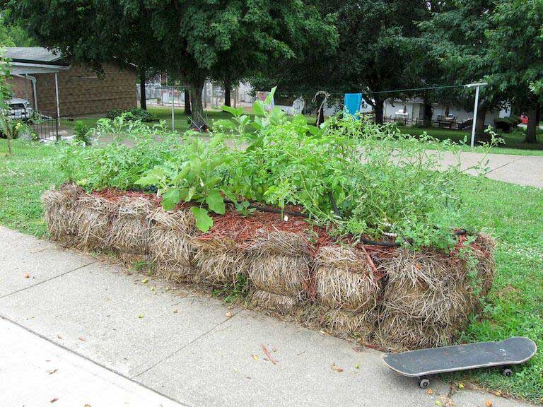 Straw bale gardens