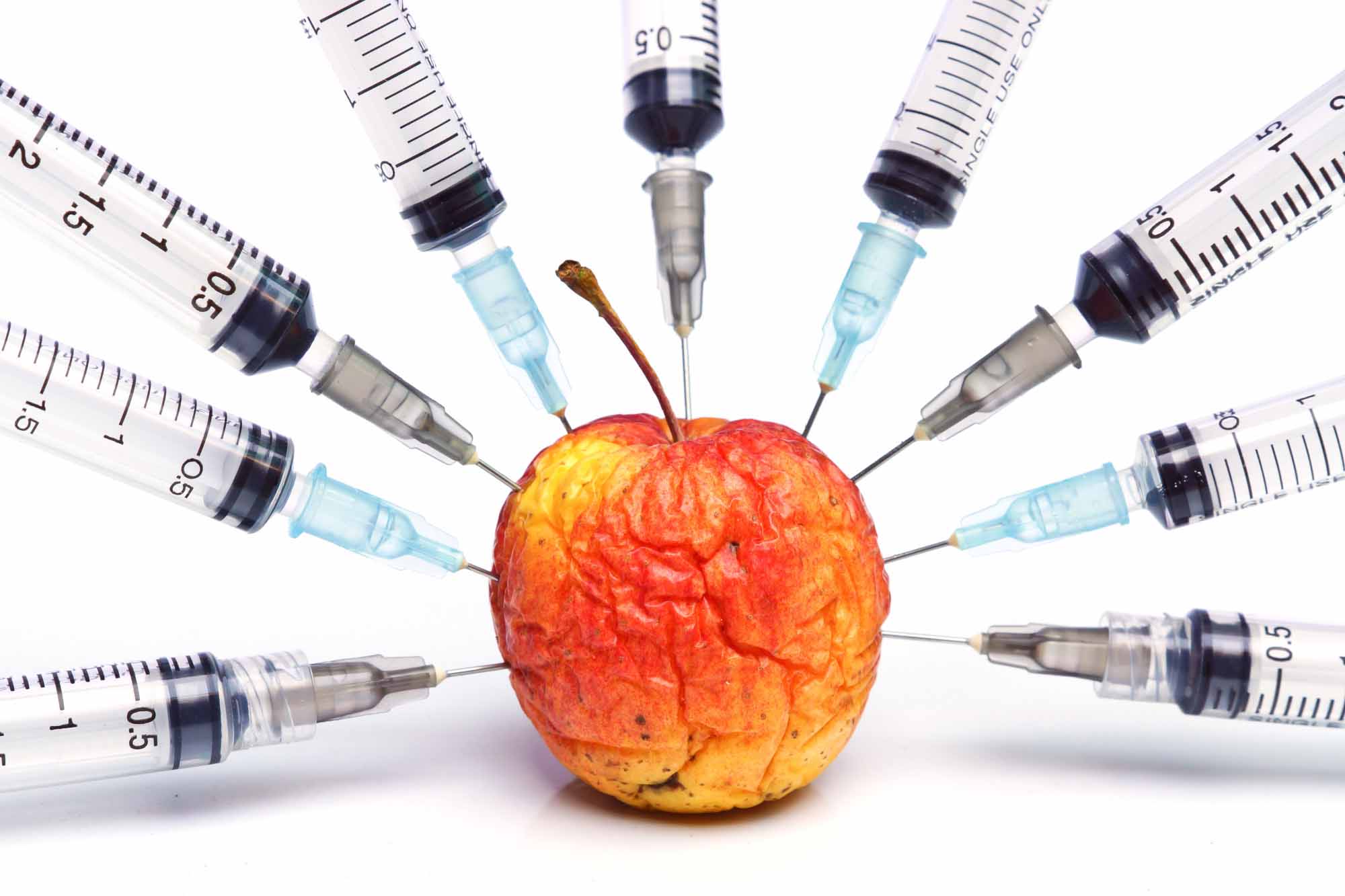 gmo / gmo food / injection of a rotten apple