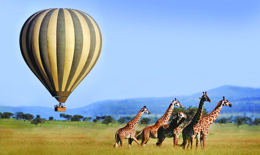 Masai Mara National Park - Kenya