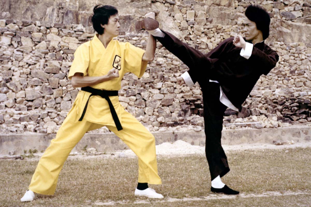 Asian Martial Arts Actors