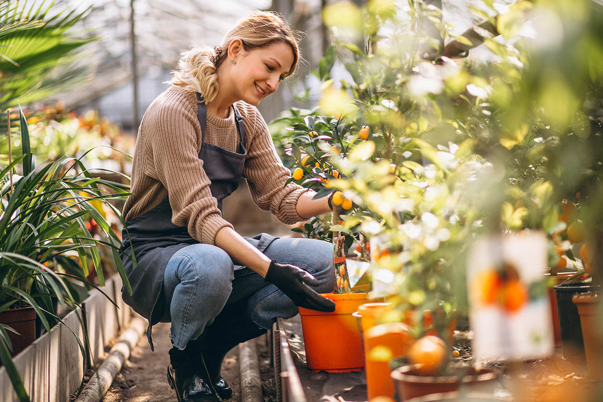 hobby such as gardening.