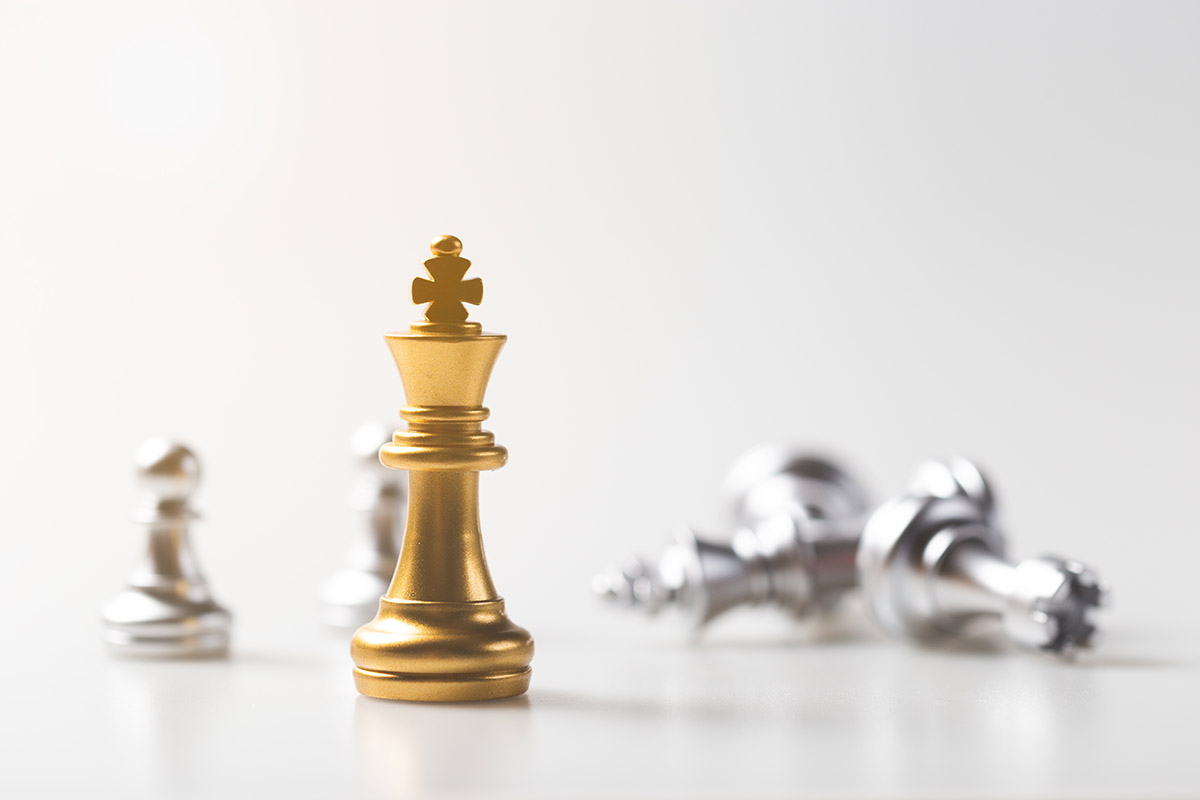 Leadership Roles