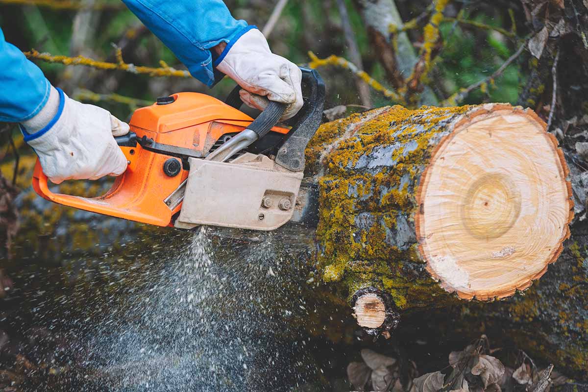 Advantages of Electric Chainsaws