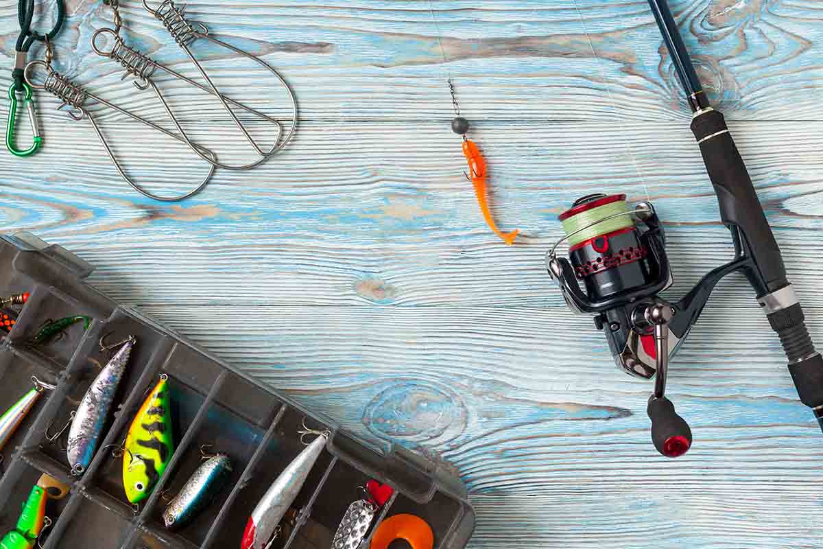 Top Fishing Reels for Catfish Fishing How to choose the