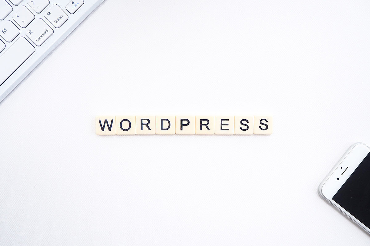 How to Сhoose a WordPress Theme