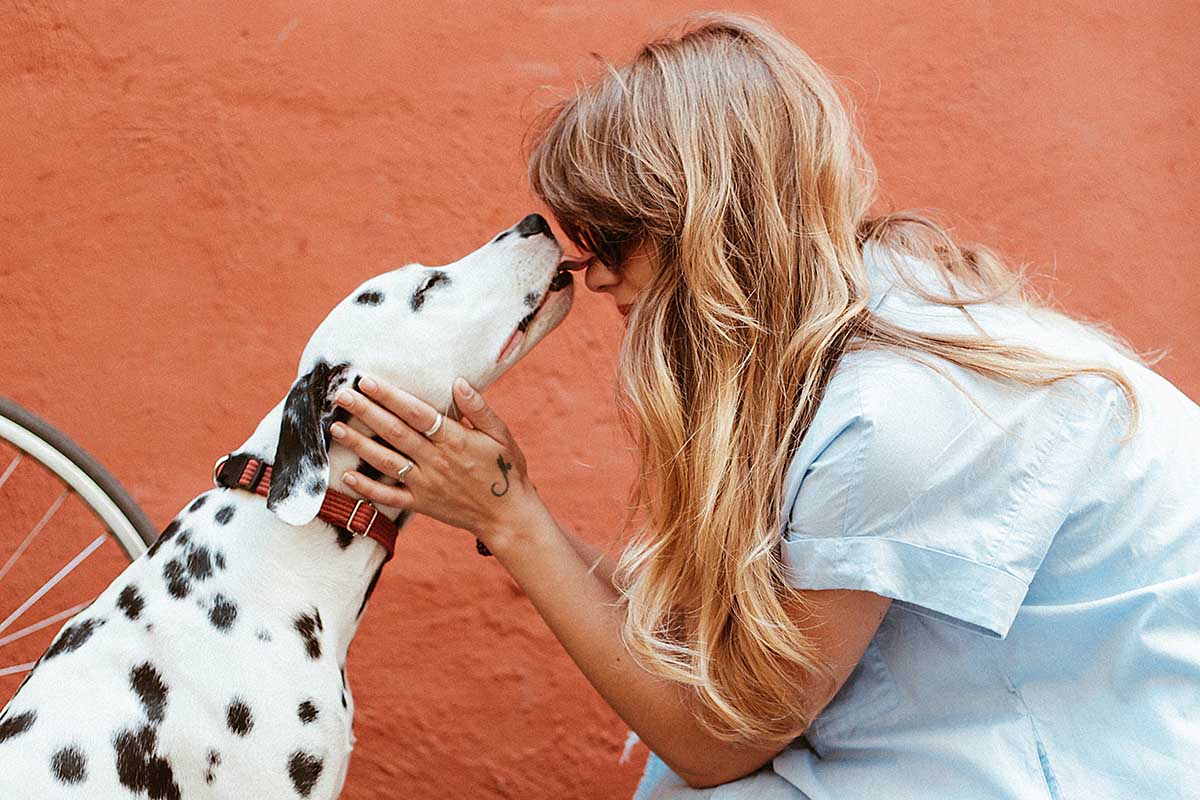 Benefits of Elevated Pet Bowl