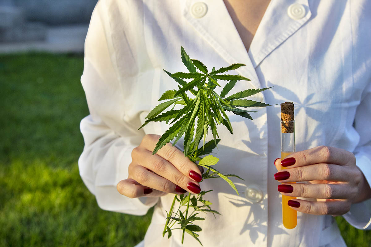 CBD Catalog 7 Key Things to Look for When Buying CBD Oil