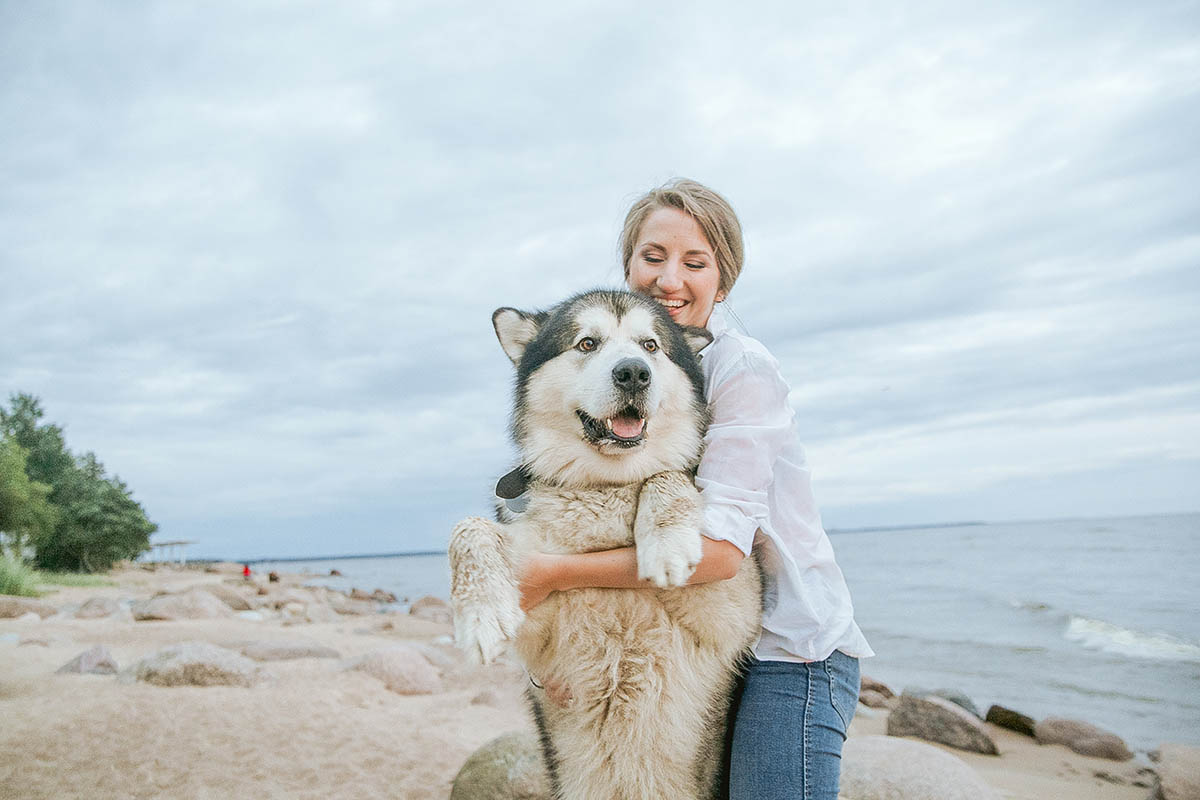 Reproductive Disorders of Female Dogs