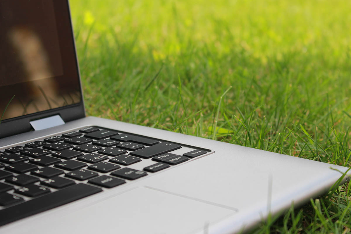Start a Green Business