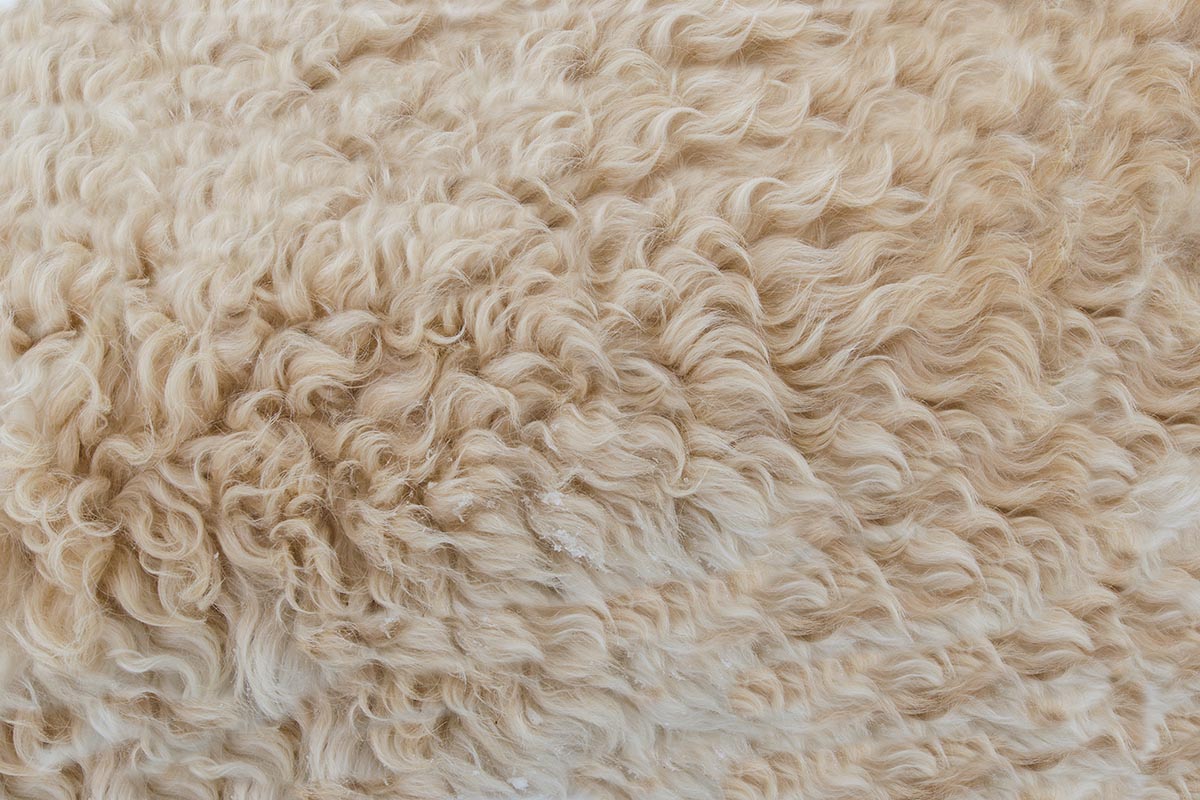 UK Wool Demand