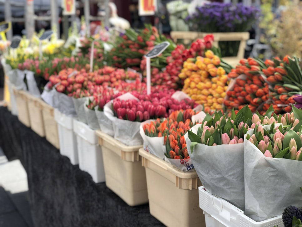 Visit the Flower Market Amsterdam
