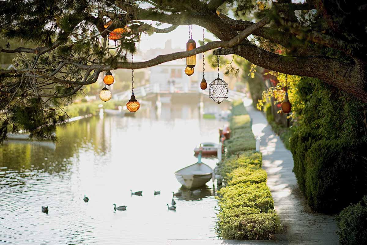 Water in Your Garden