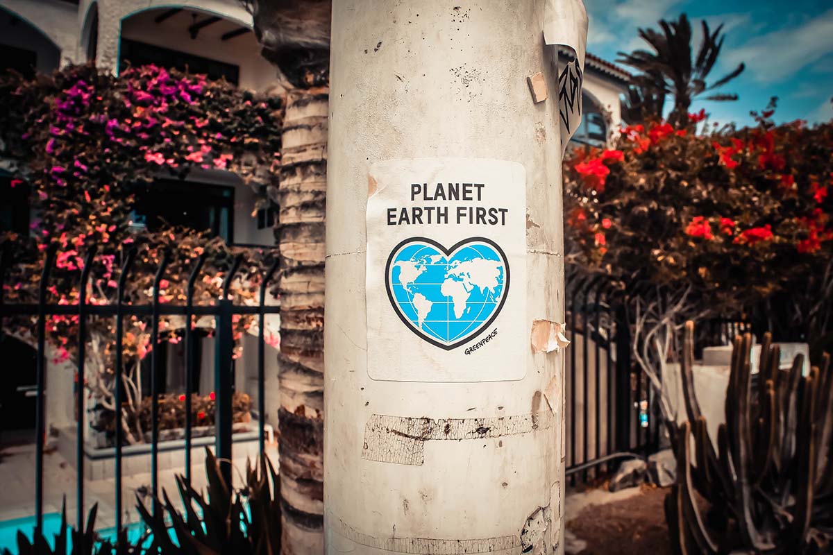 Eco-Friendly Business