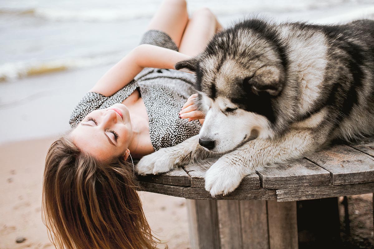 Hemp Oil for Pets