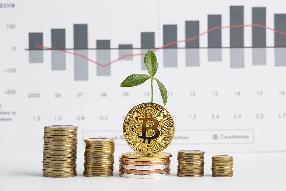 How to Make Money From Bitcoin Investment