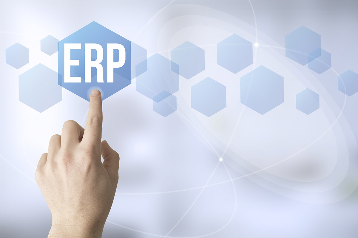 what is erp and how does it work