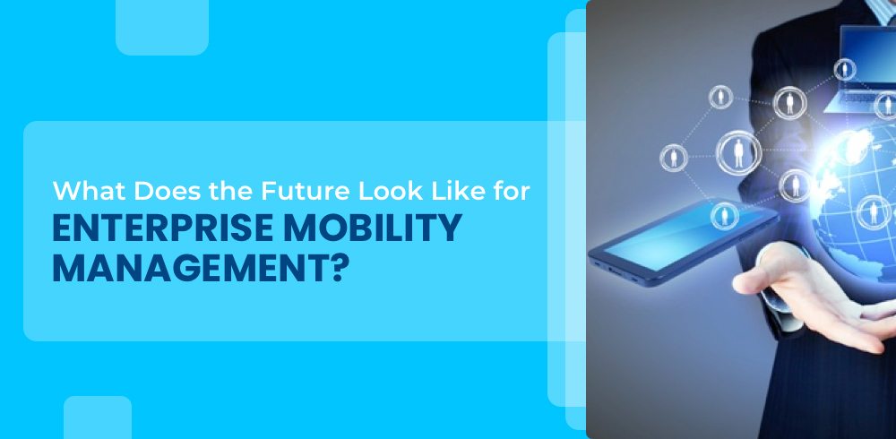 Enterprise Mobility Management