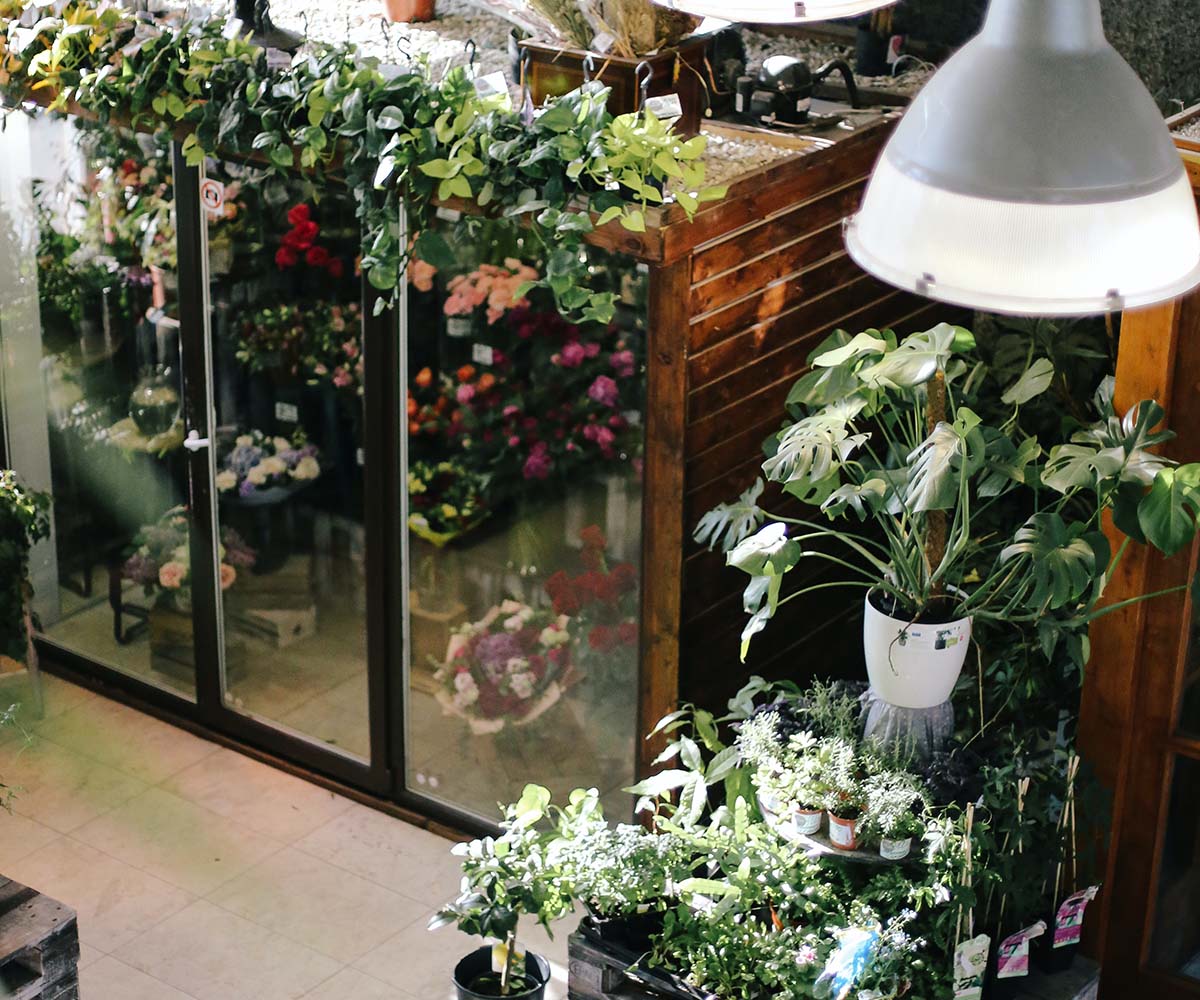 Indoor Herb Garden Light