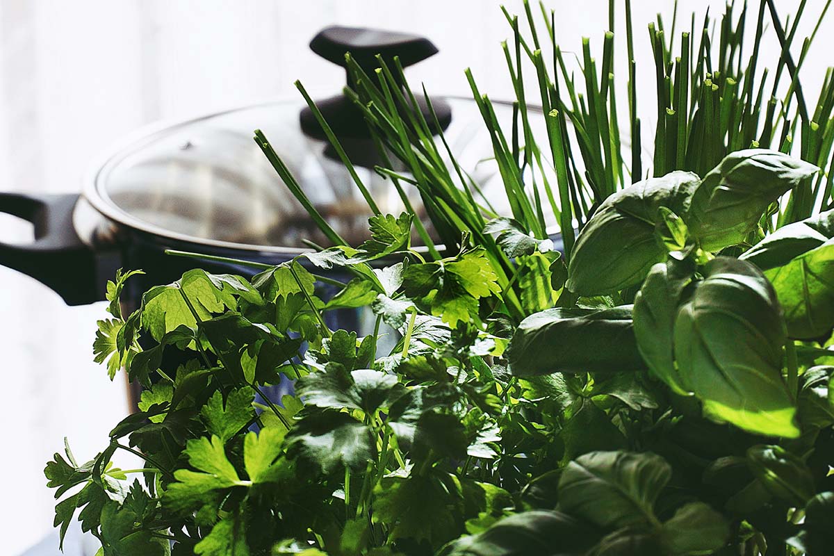 Indoor Herb Garden