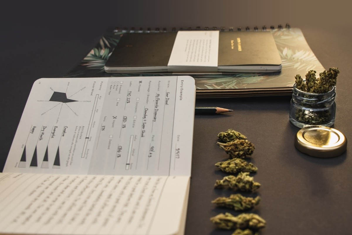 Launching New CBD Business