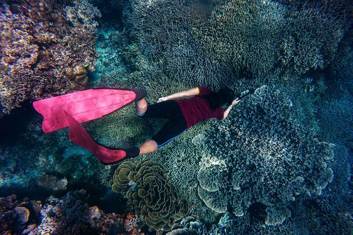 Snorkeling at Dry Tortugas National Park