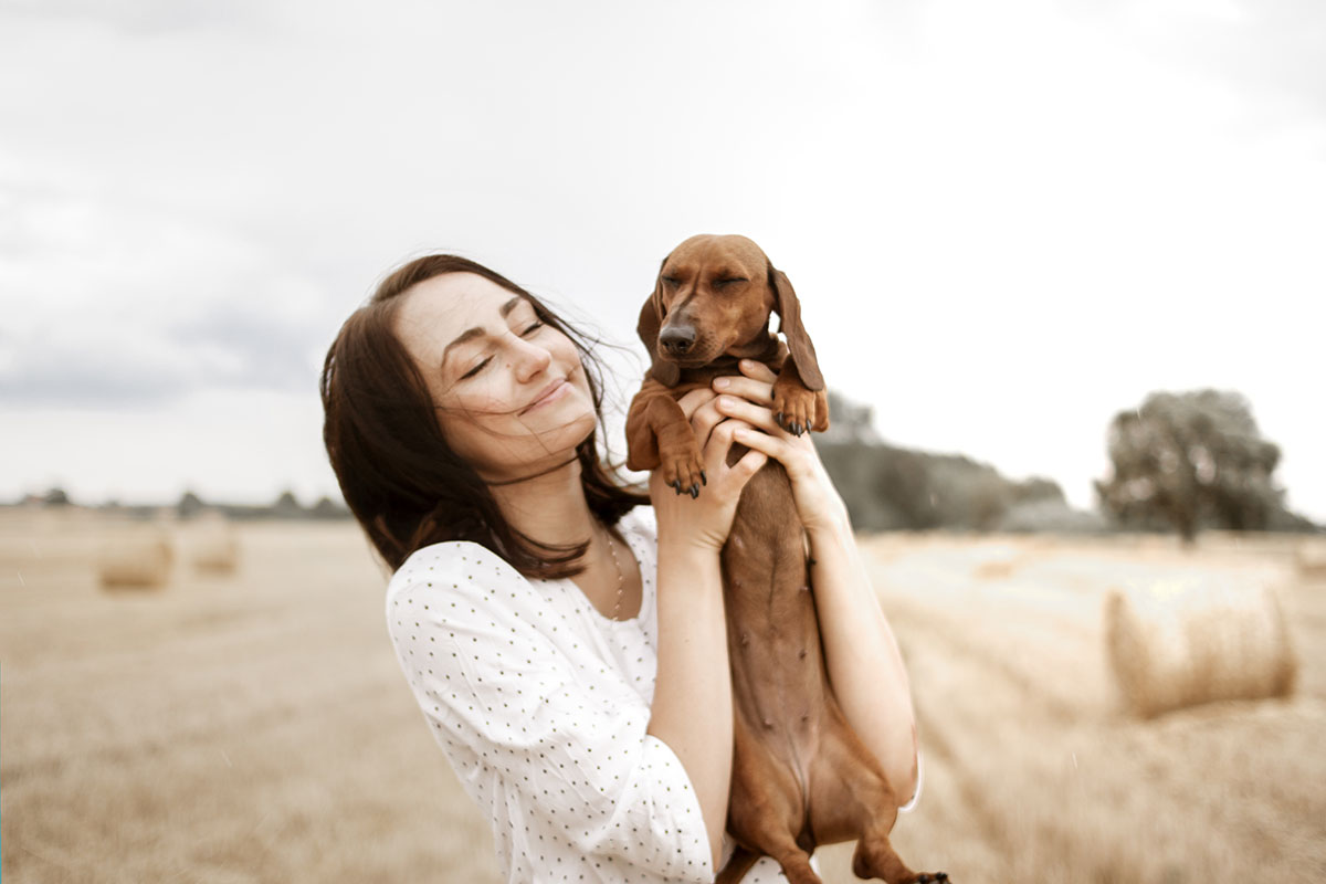 Ticks and Fleas