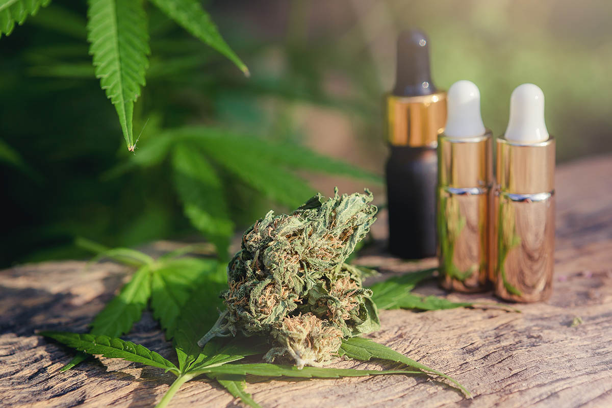 Cannabis lightens manifestations of psoriasis