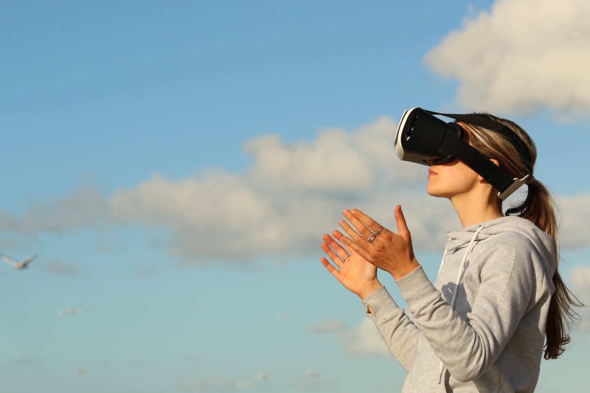 Virtual Travel
