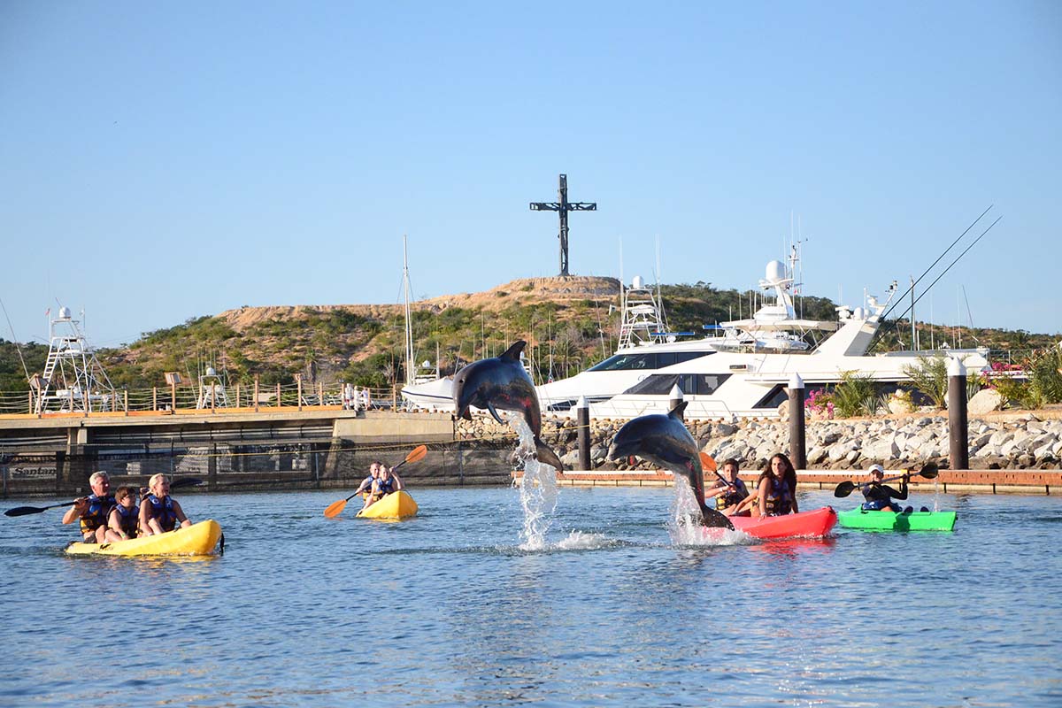 Visit the Los Cabos beaches