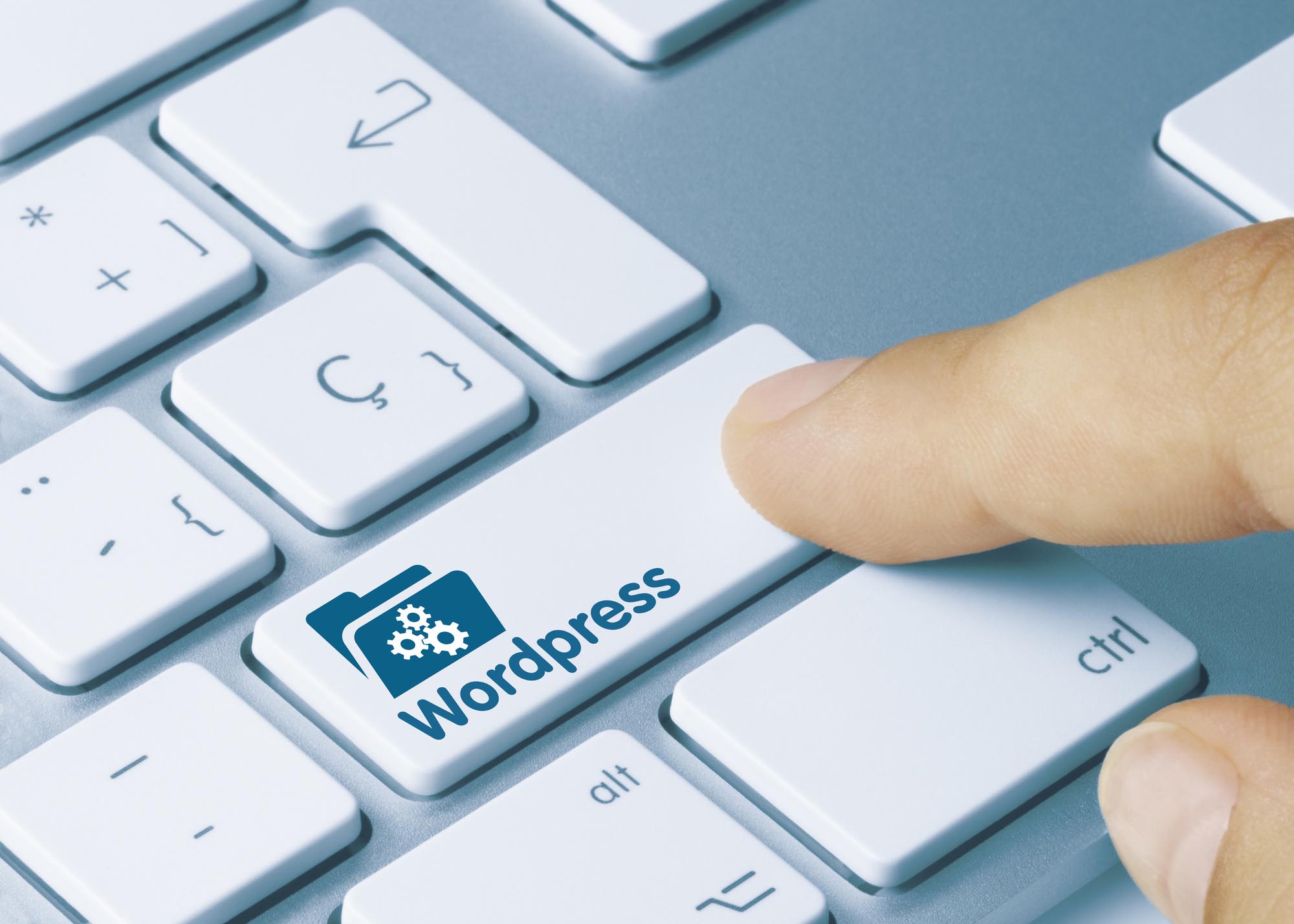 WordPress SEO Tools