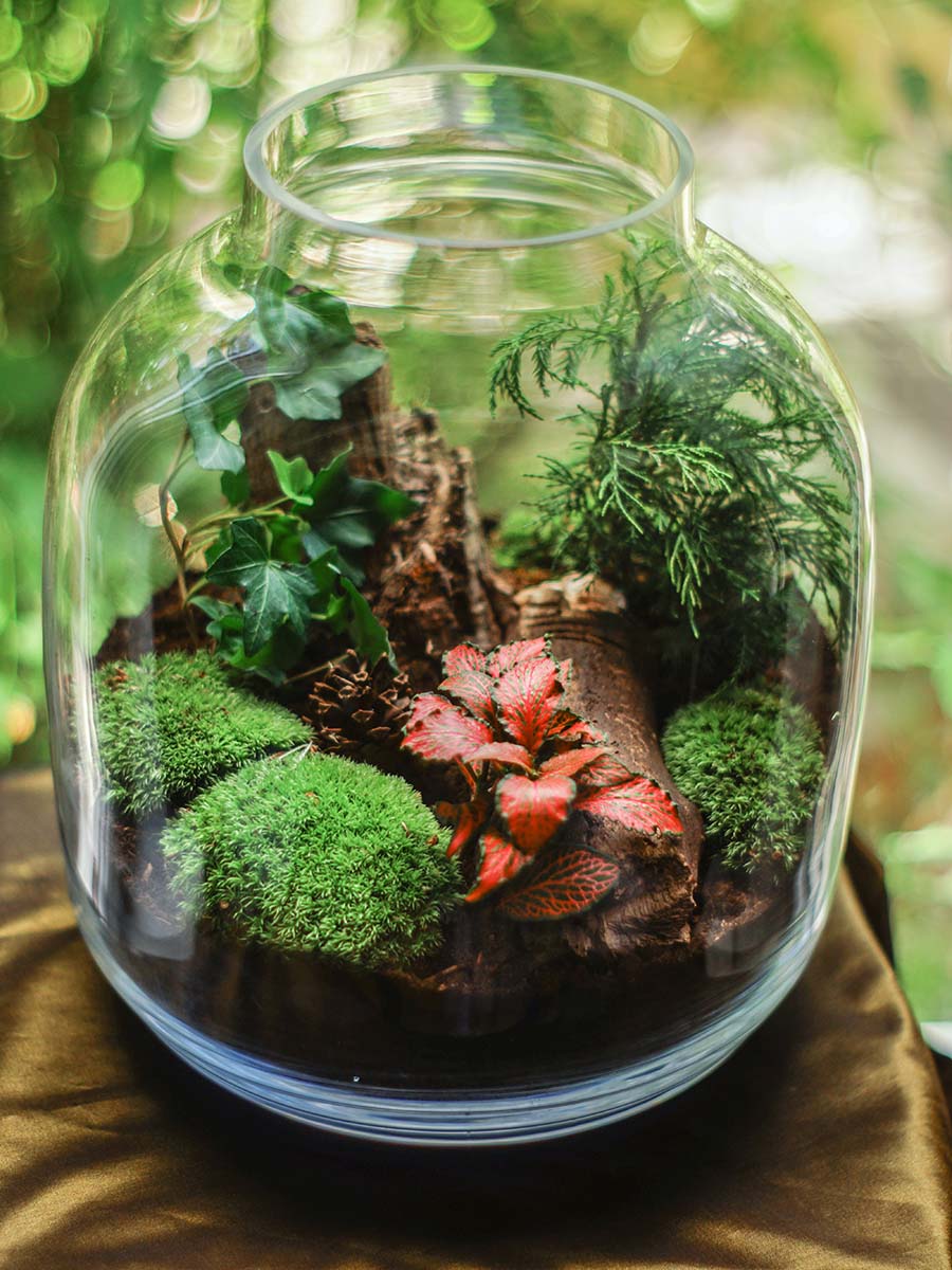 Terrarium Jar
