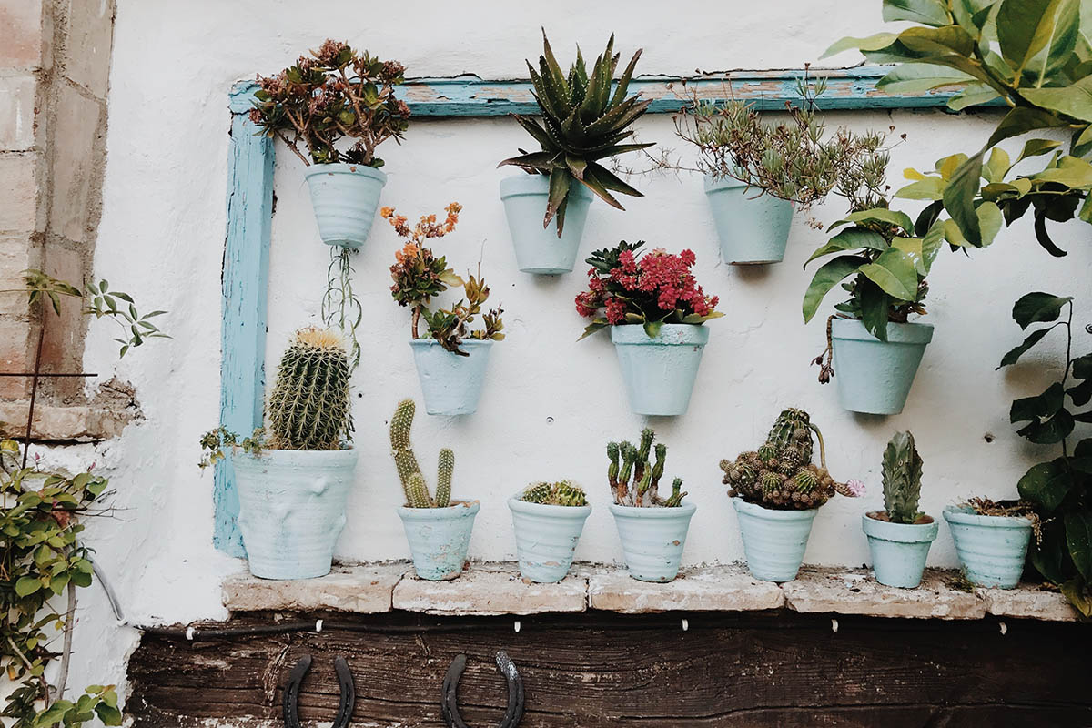 Garden Decor Ideas