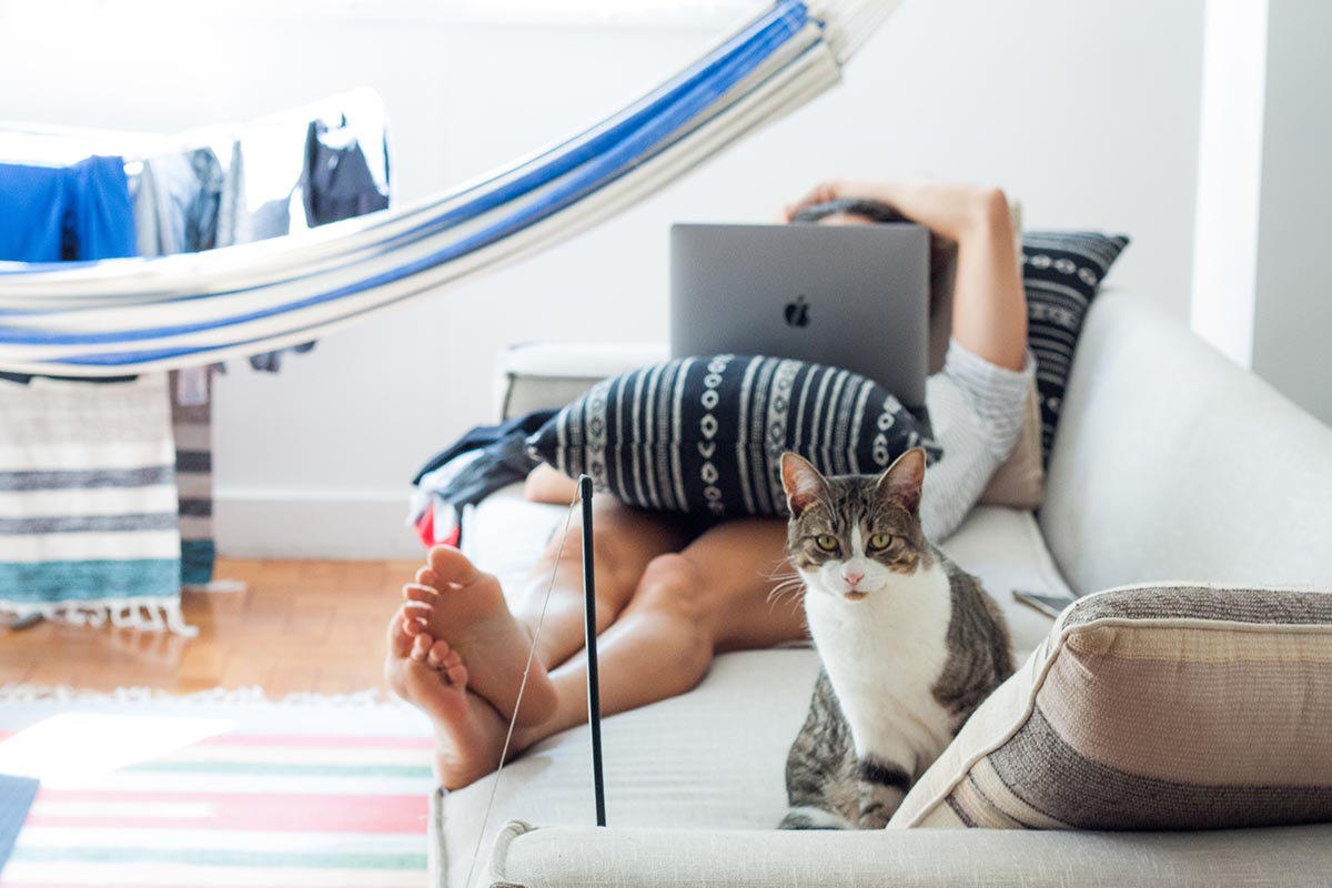 Pet Home