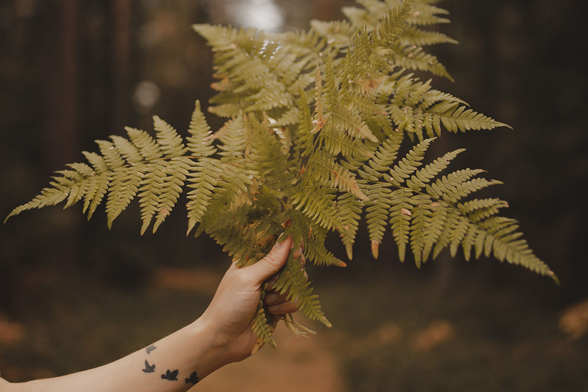 CBD Oil Benefits Anxiety Sufferers