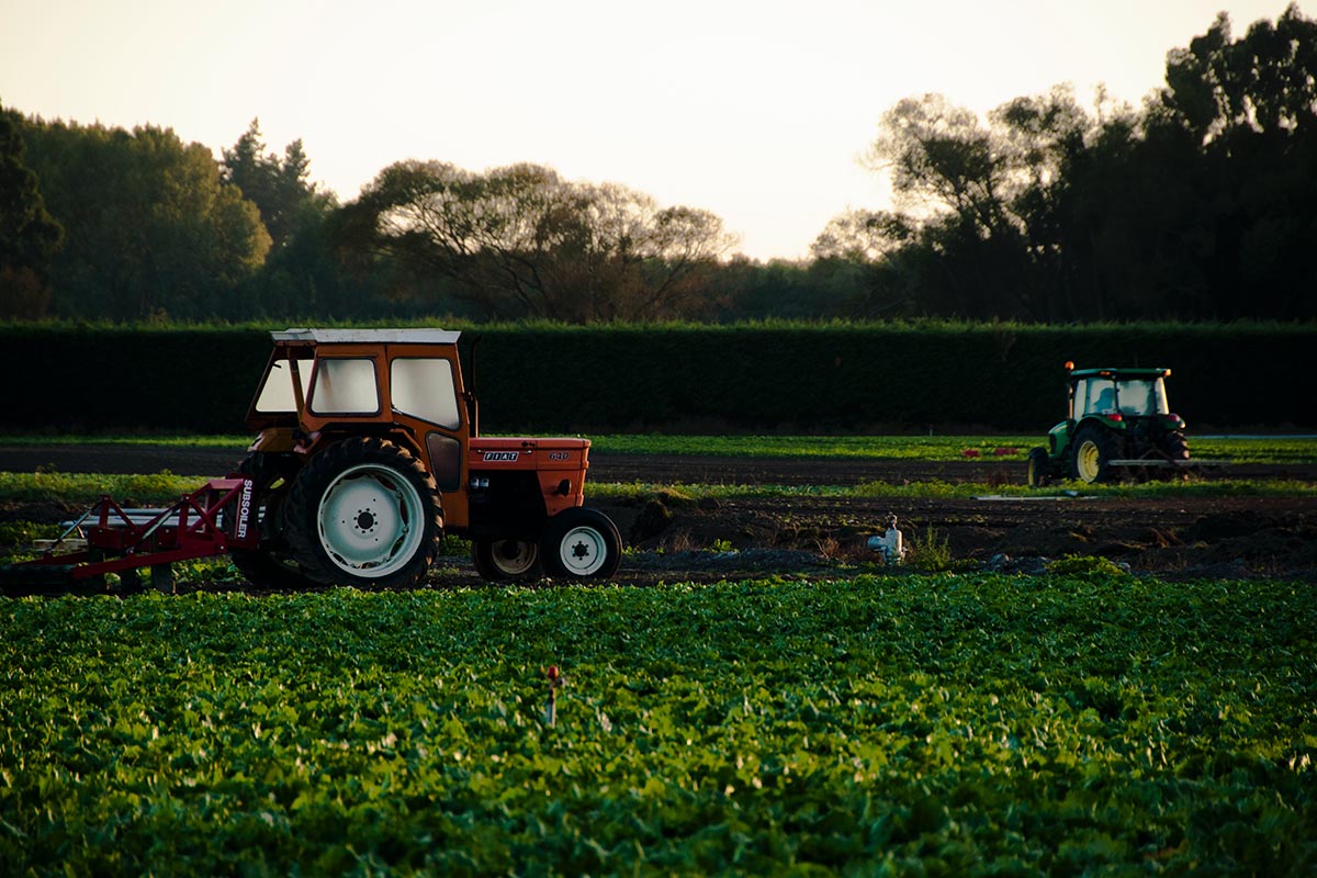 Starting Agricultural Businesses