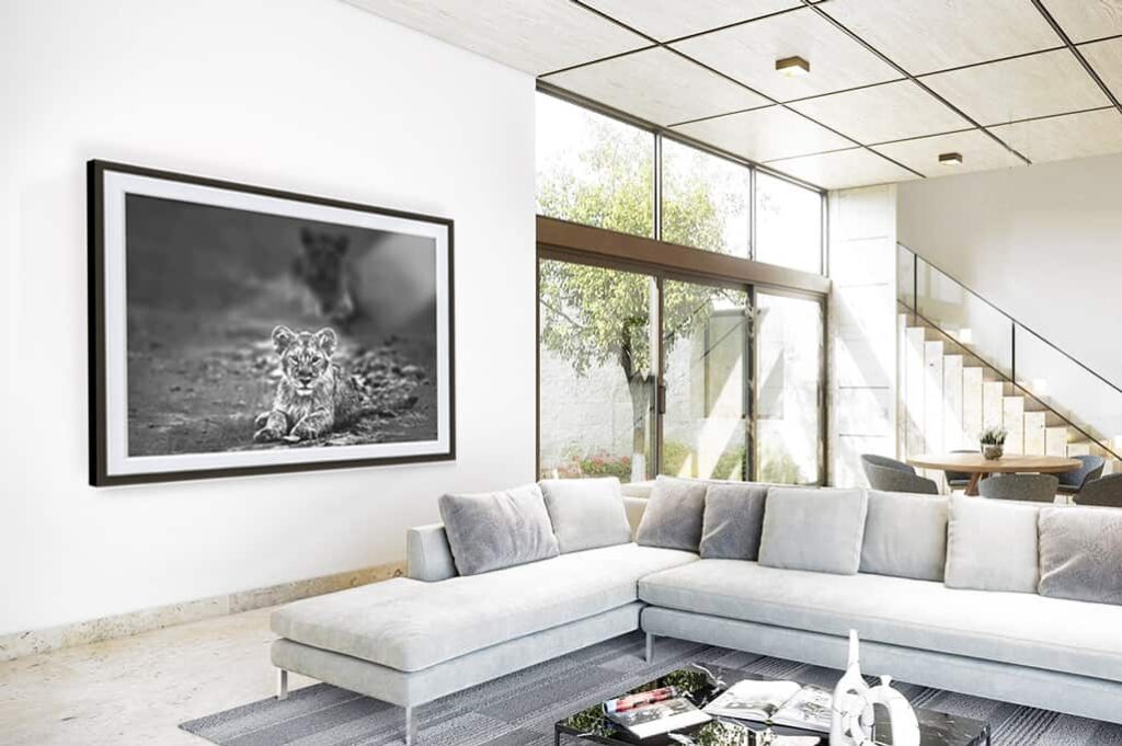 Black and White Wall Art