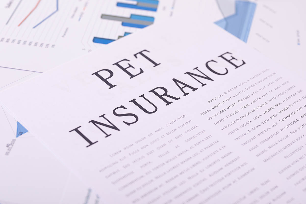 Get Pet Insurance