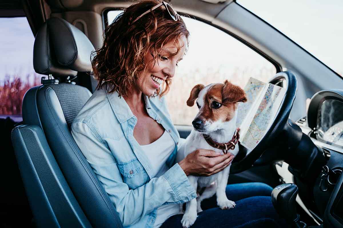 Get Pet Insurance
