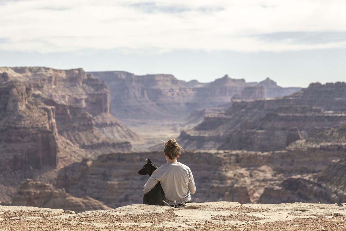 ​Traveling with a Dog