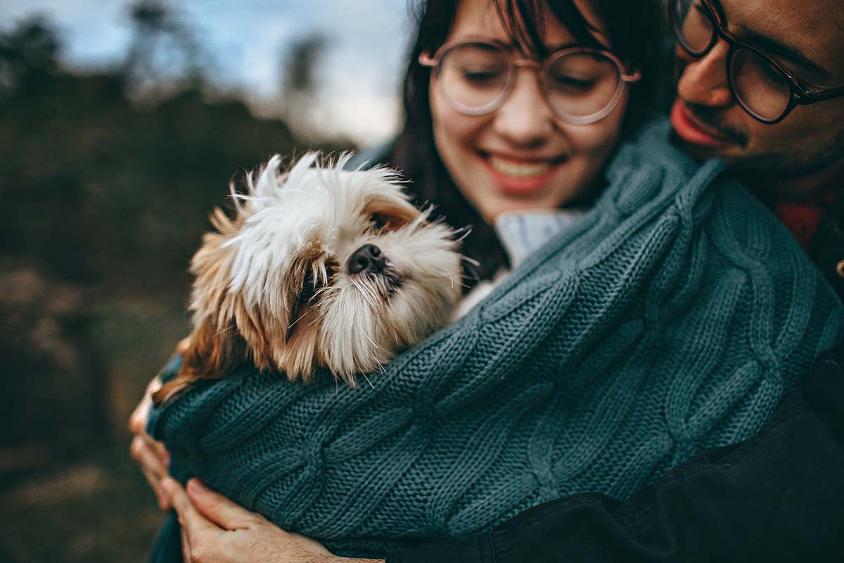 Adopting a Dog