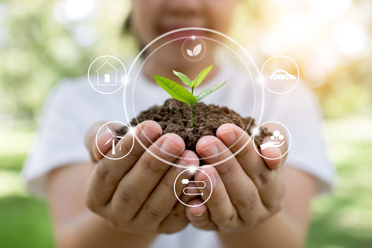 Ways to Be More Sustainable