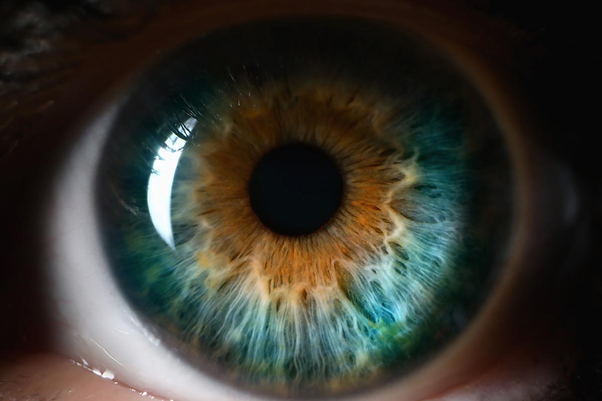 the diseases and ailments of your eyes