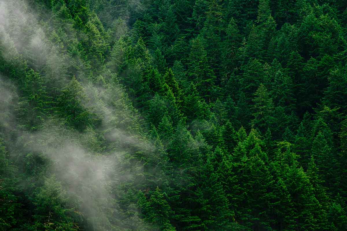 Business Commit To Sustainability