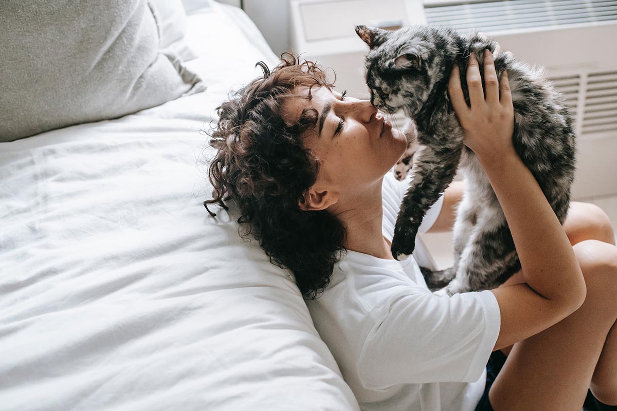 Gifts For Pet Cat